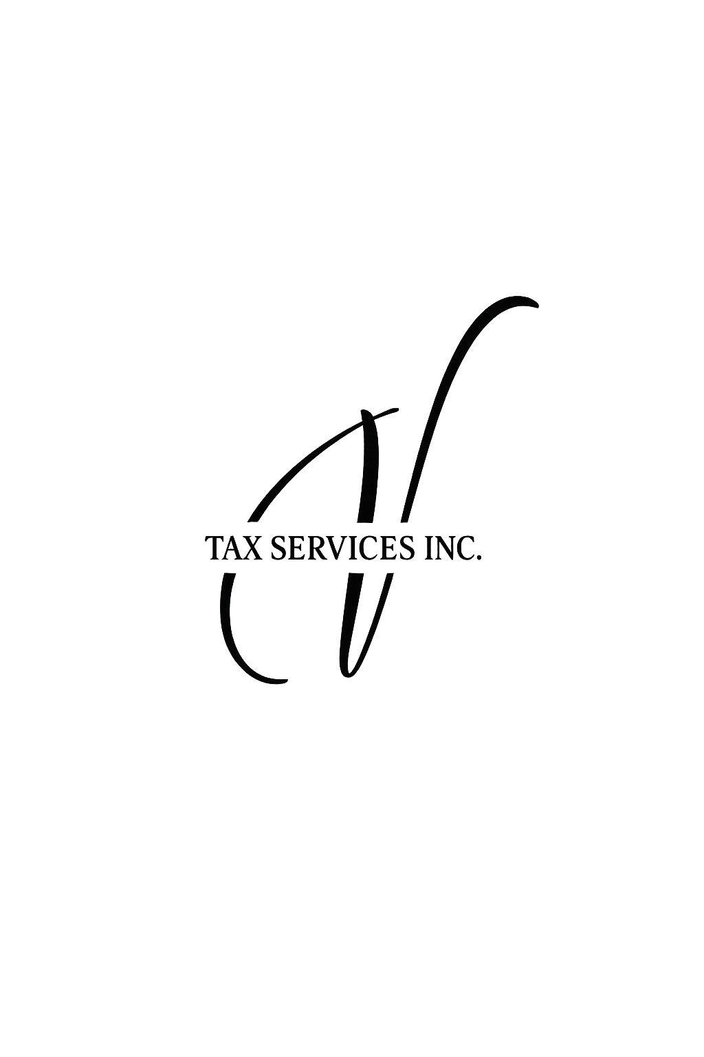 V TAX SERVICES INC